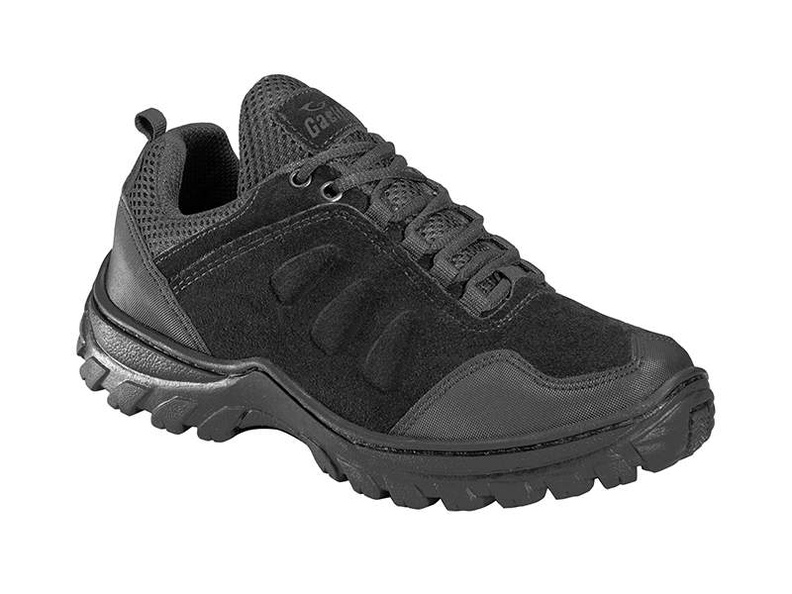 Art. 496 Color 202.jpg